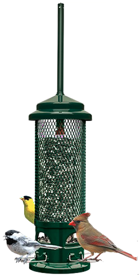 bird-feeder
