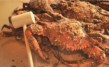 crabfeast steamed crab w/ wood mallet