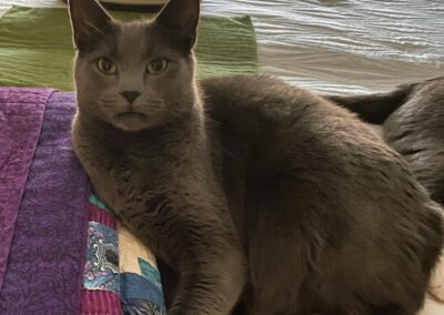 Jasper