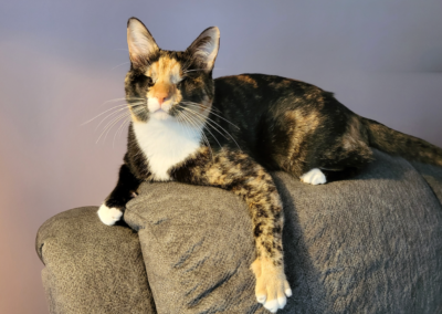 Zizi, born 2020, Rita Schneider