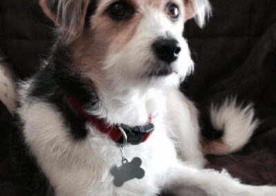Eddie, born 2010, died 2025, Elsie Kemp