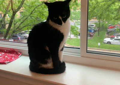 Holly, born 2000, Louise Kraft