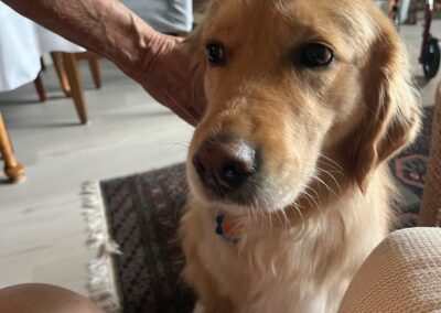 Chelsea, dog born 2018, Lois Eldred and Earl Huch