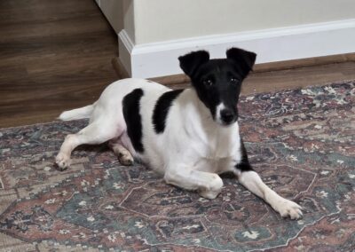 Raven, born June 19, 2020. Betty Gardner.