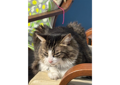 Maudie, Born 2015, Vic and Anne Metta.