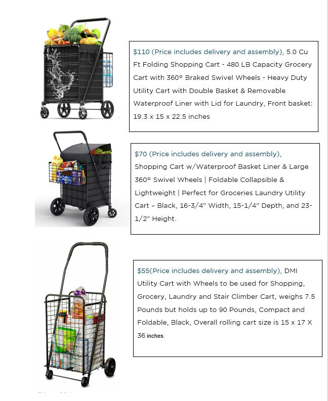 personal-carts personal carts