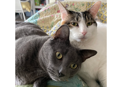 Maxie and Rosie, brother and sister, born August 15, 2020. Cindy McManus
